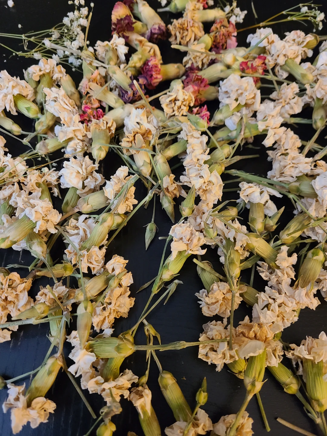 Dried Carnations and Baby's Breath Bundle - photo 2