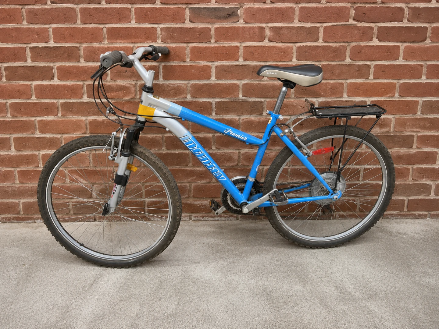 Blue Mountain Bike