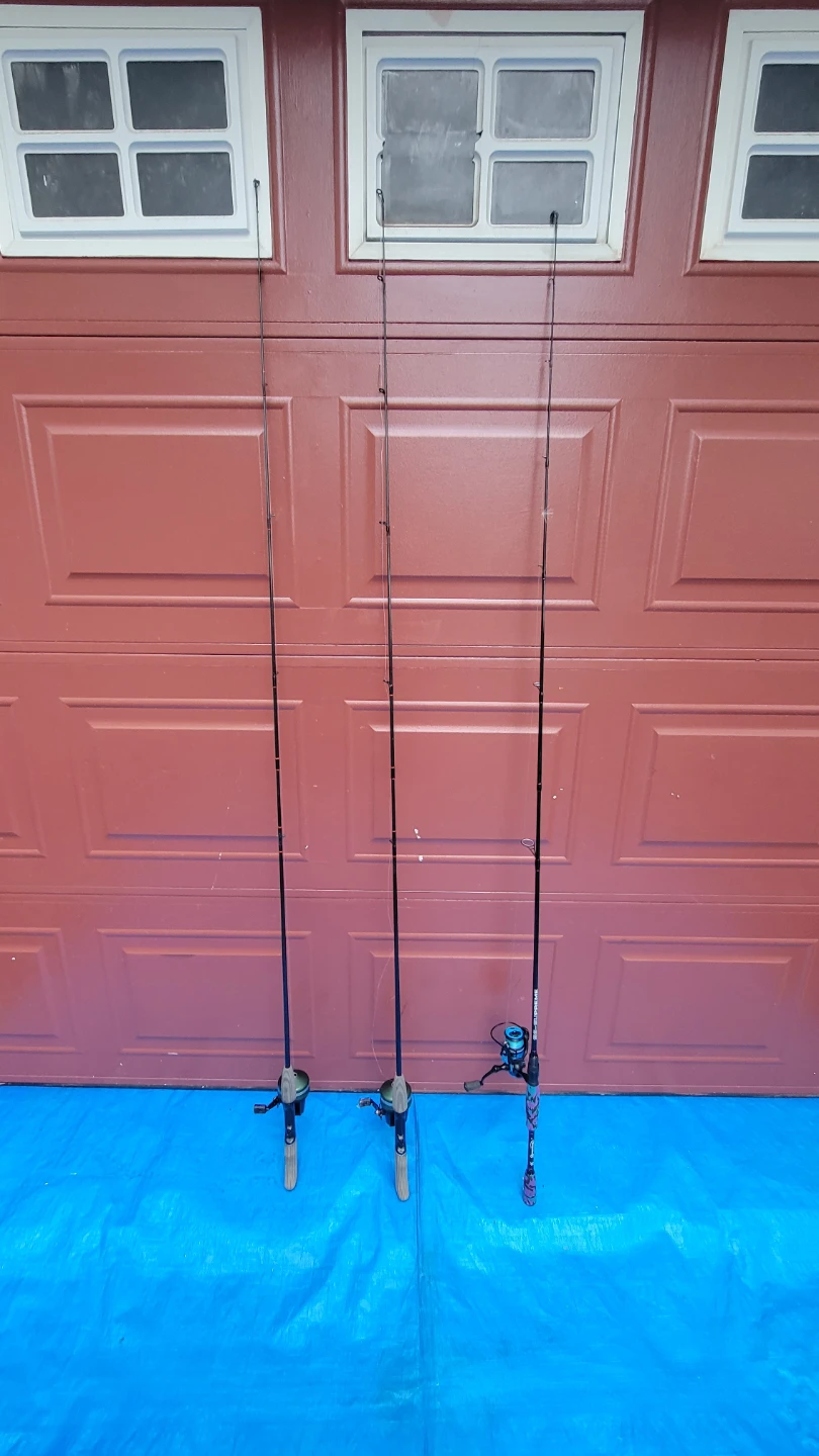 3 Fishing Rods with Reels