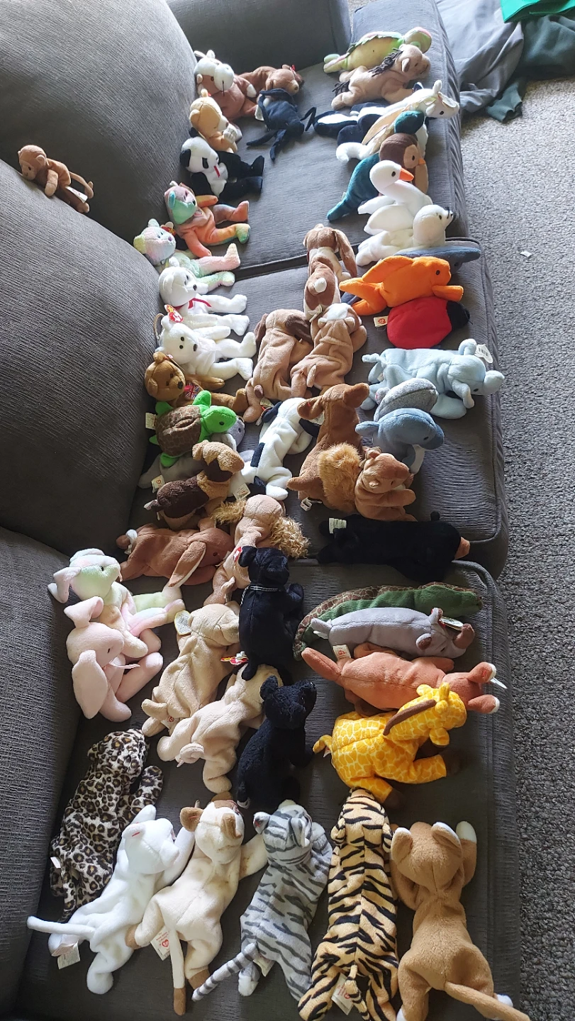Collection of Beanie Babies
