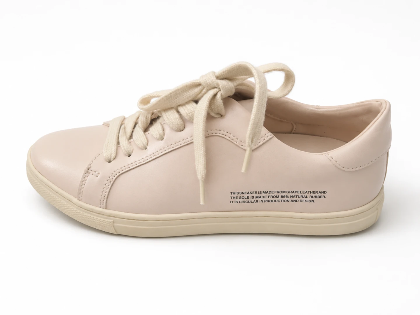Everlane The Court Sneaker Beige Leather