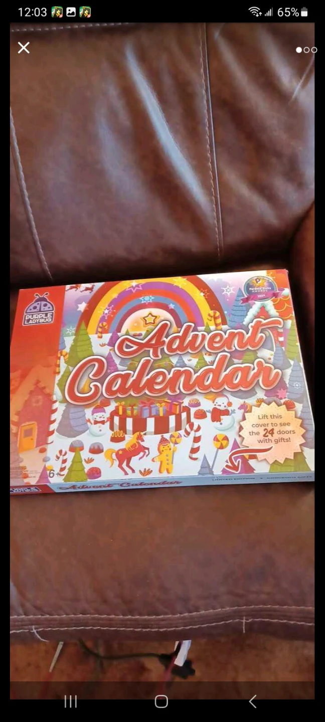 Purple Ladybug Advent Calendar