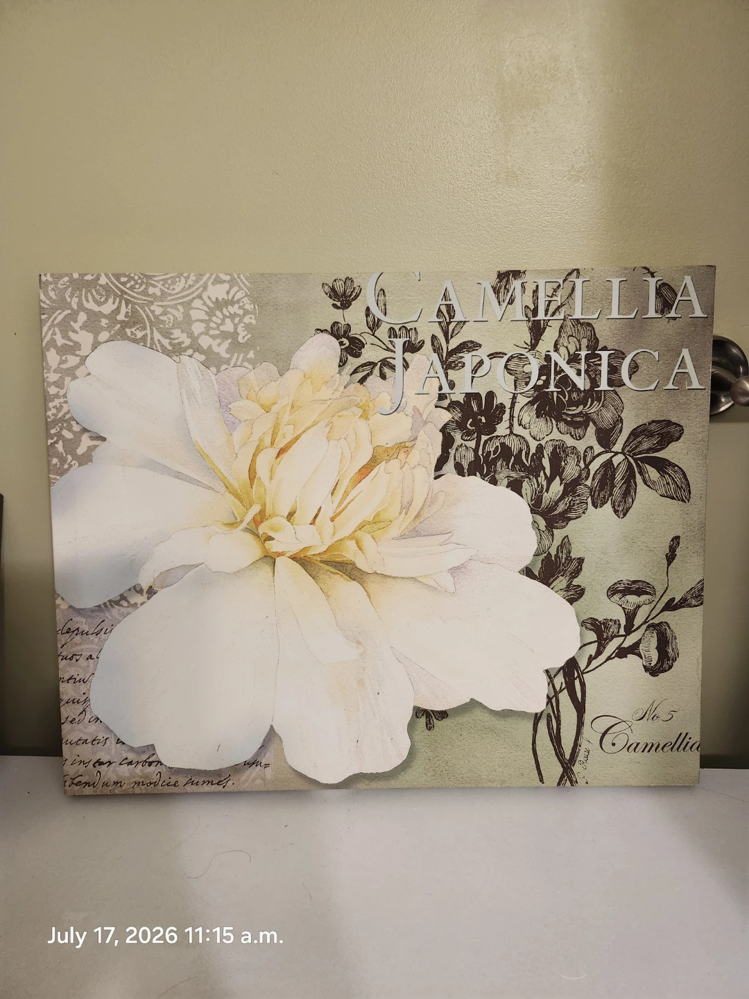 3 Decorative Canvas Art Prints - Floral & Fragrance Bottles