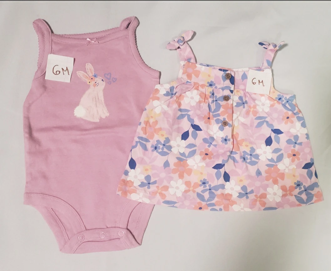 Brand new Carter's Baby Girl Bunny Bodysuit and Dress Set