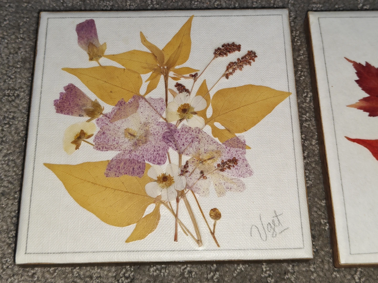 2 Canadian Hand Pressed Preserved Flower Wall Art VGET Originals - photo 3