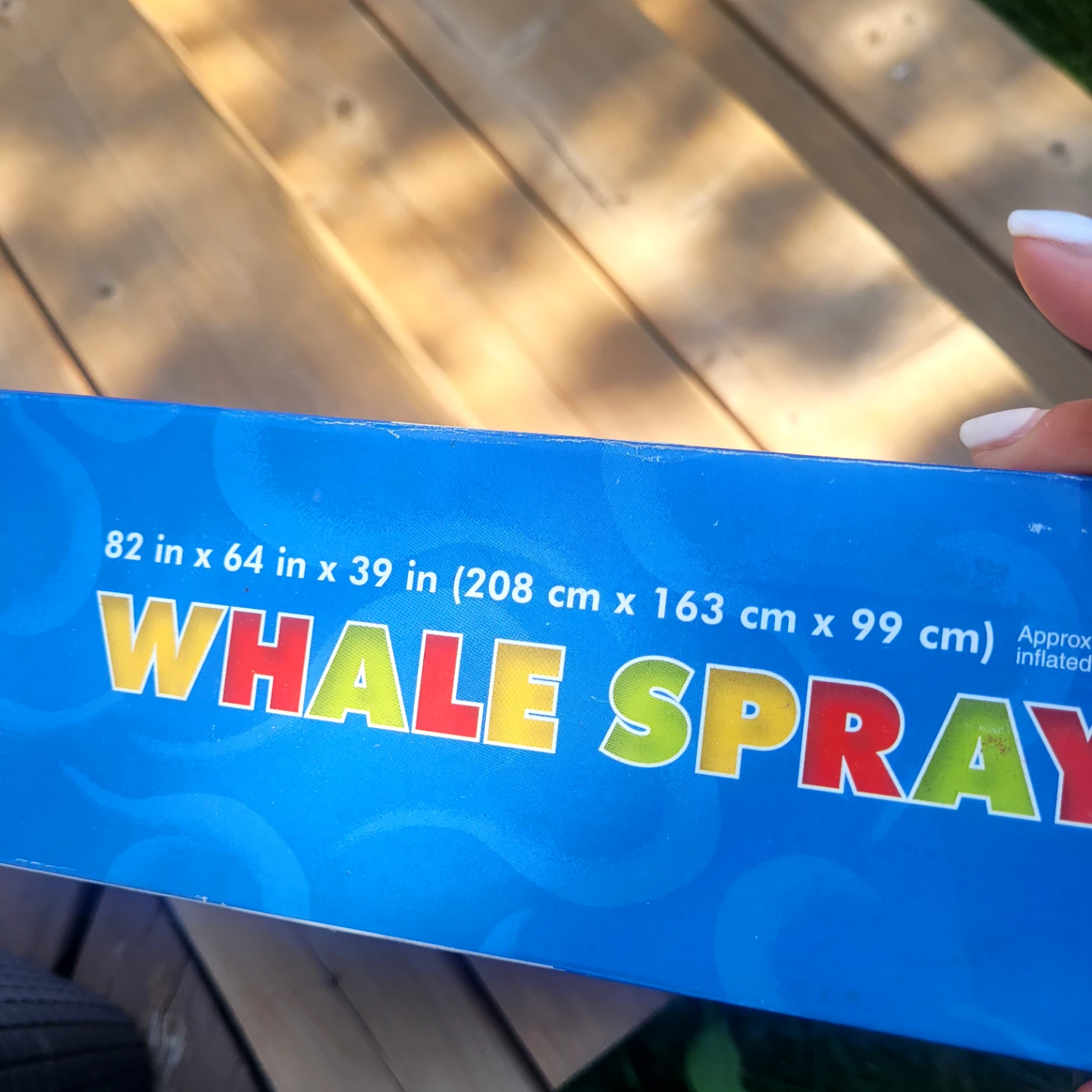 Whale Spray Pool - photo 2