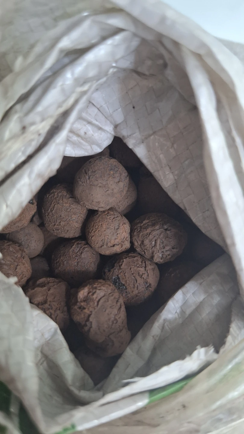 Expanded Clay Pebbles for Gardening - photo 2
