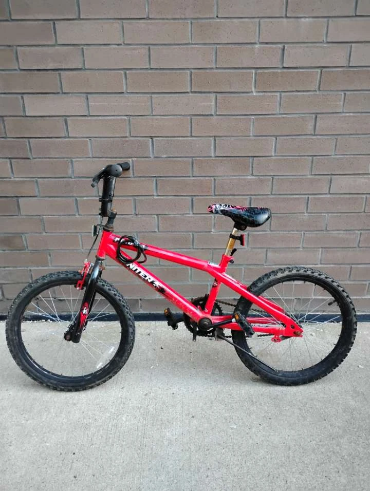 Pacific Moto-20 Bicycle