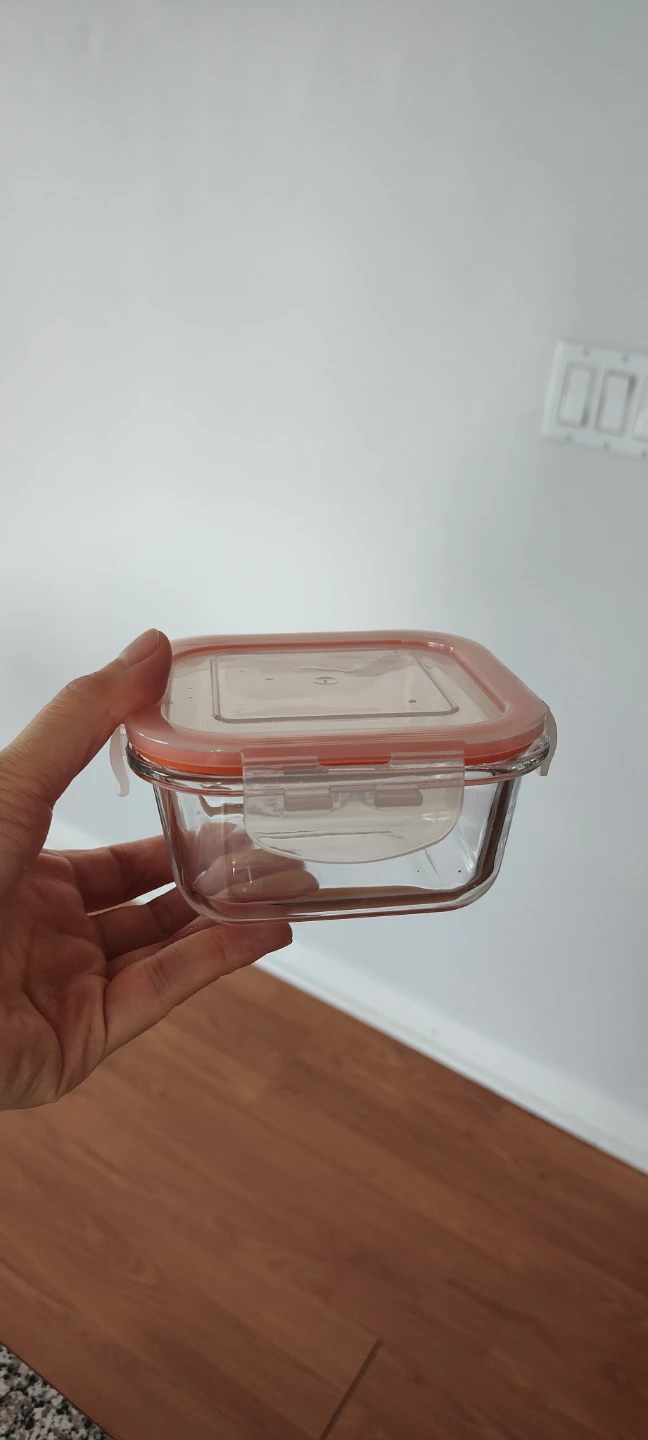 Glass Food Storage Container with Lid