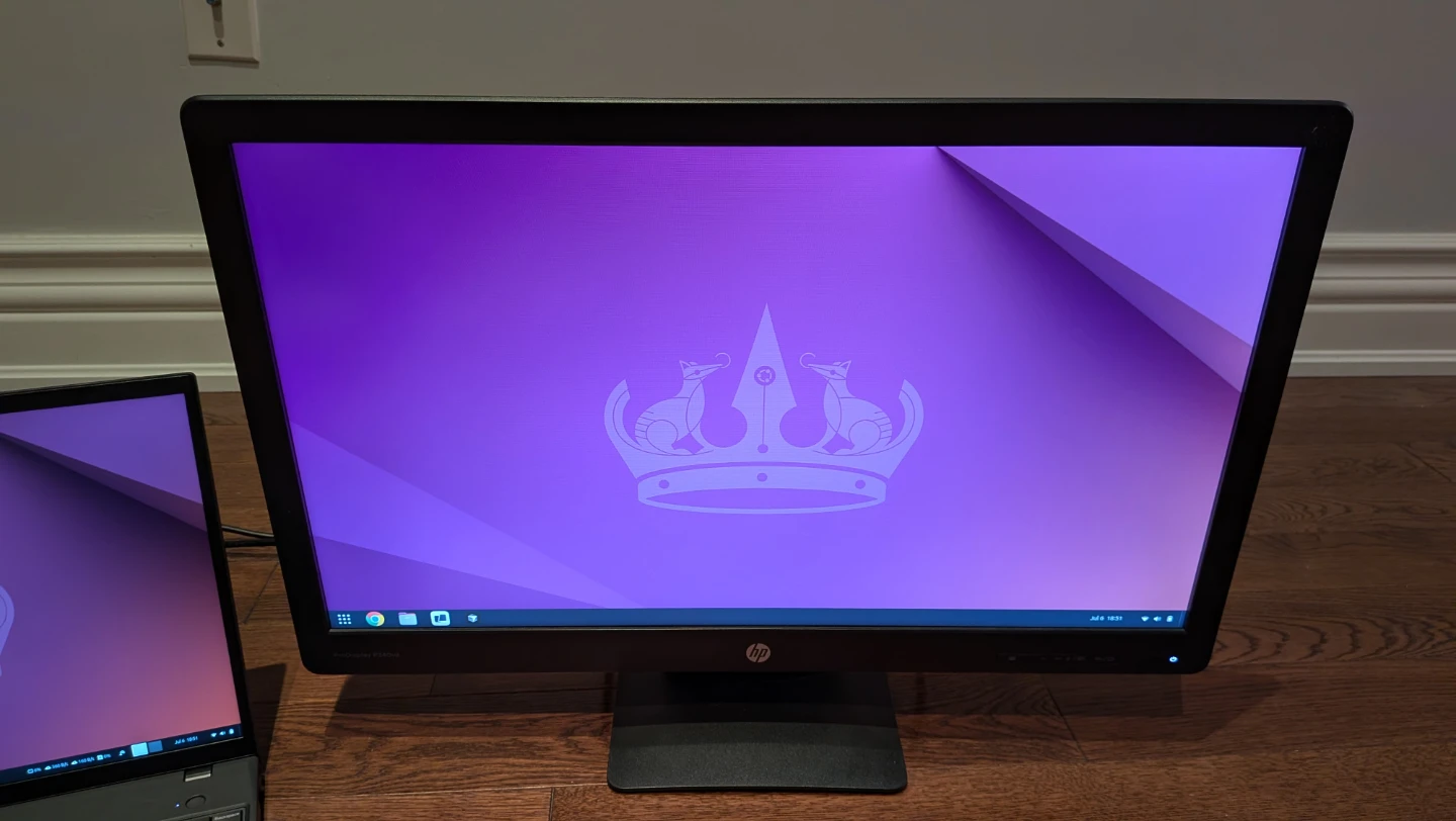 HP ProDisplay 24-inch Monitor