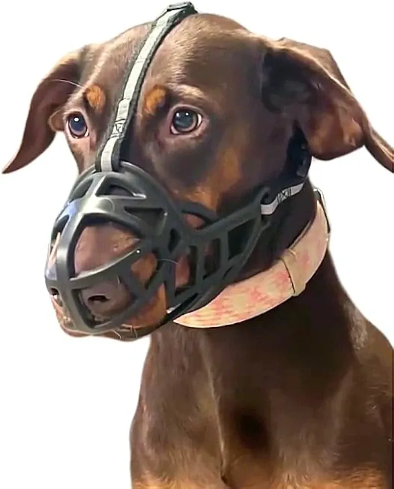 Black Dog Muzzle with Reflective Straps - Size 4 - photo 4