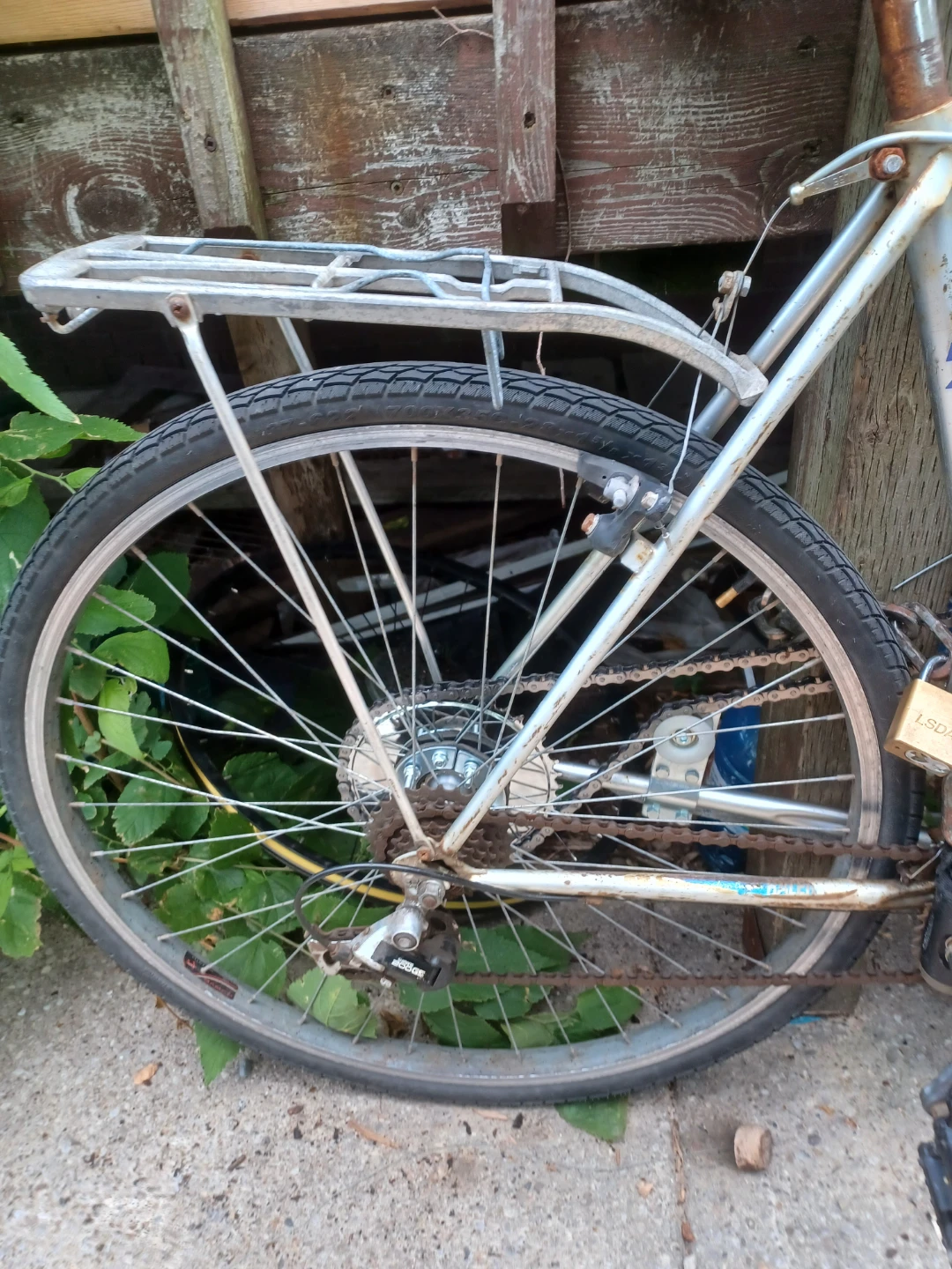 Motorized Bicycle