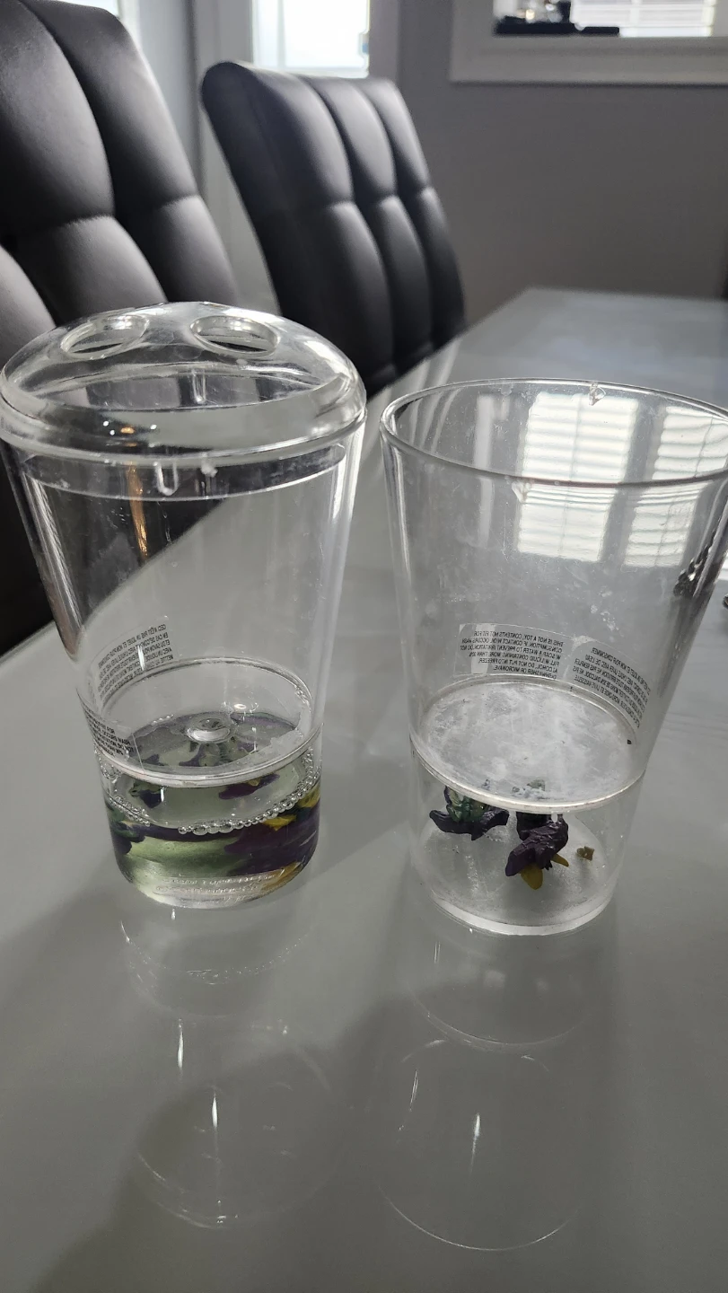 Clear Plastic Bathroom cups with Decorative Frogs