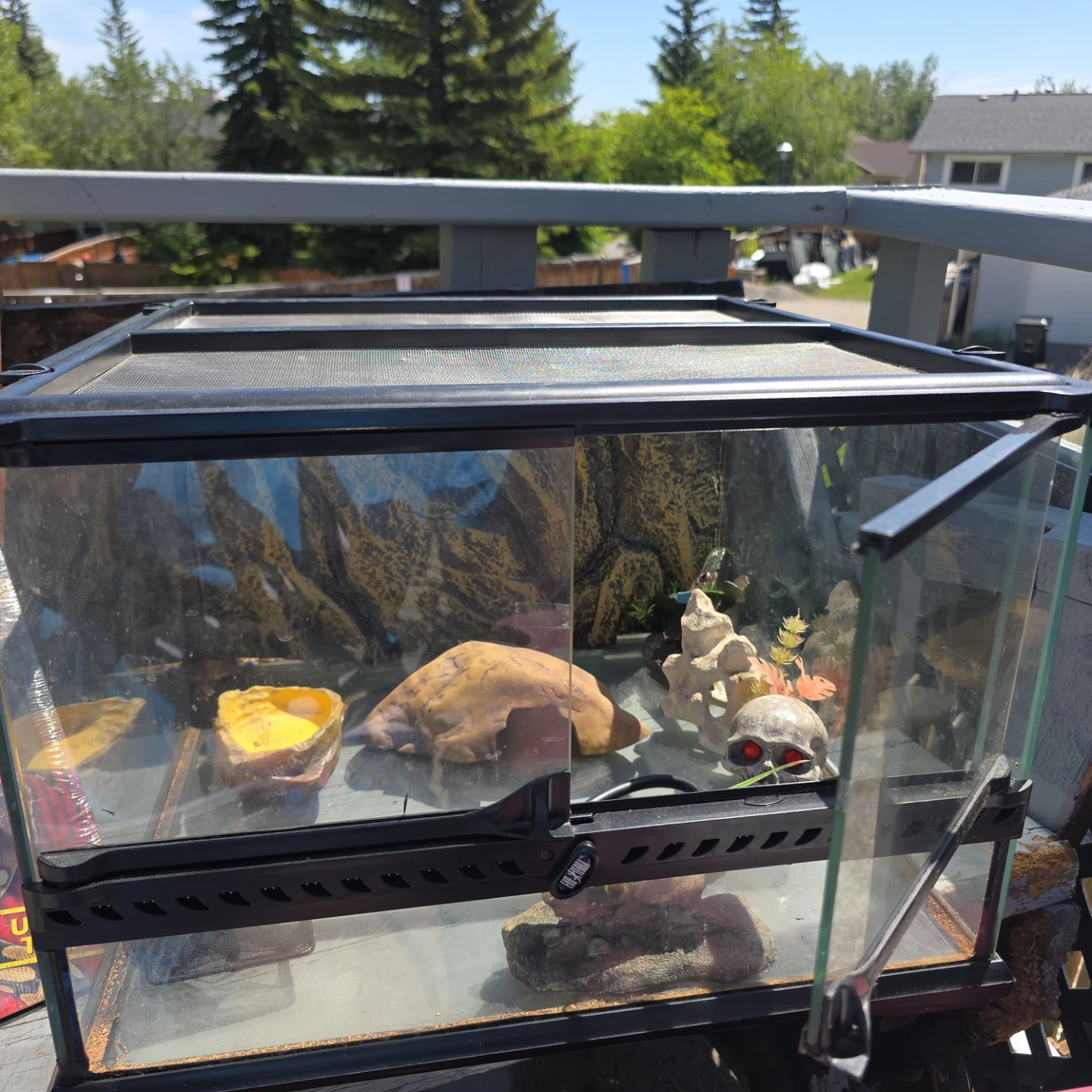 Exo Terra Small Terrarium Heat Mat and LED Light - photo 2