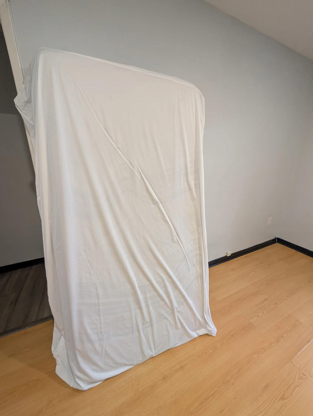Twin size firm mattress  (including mattress protector)