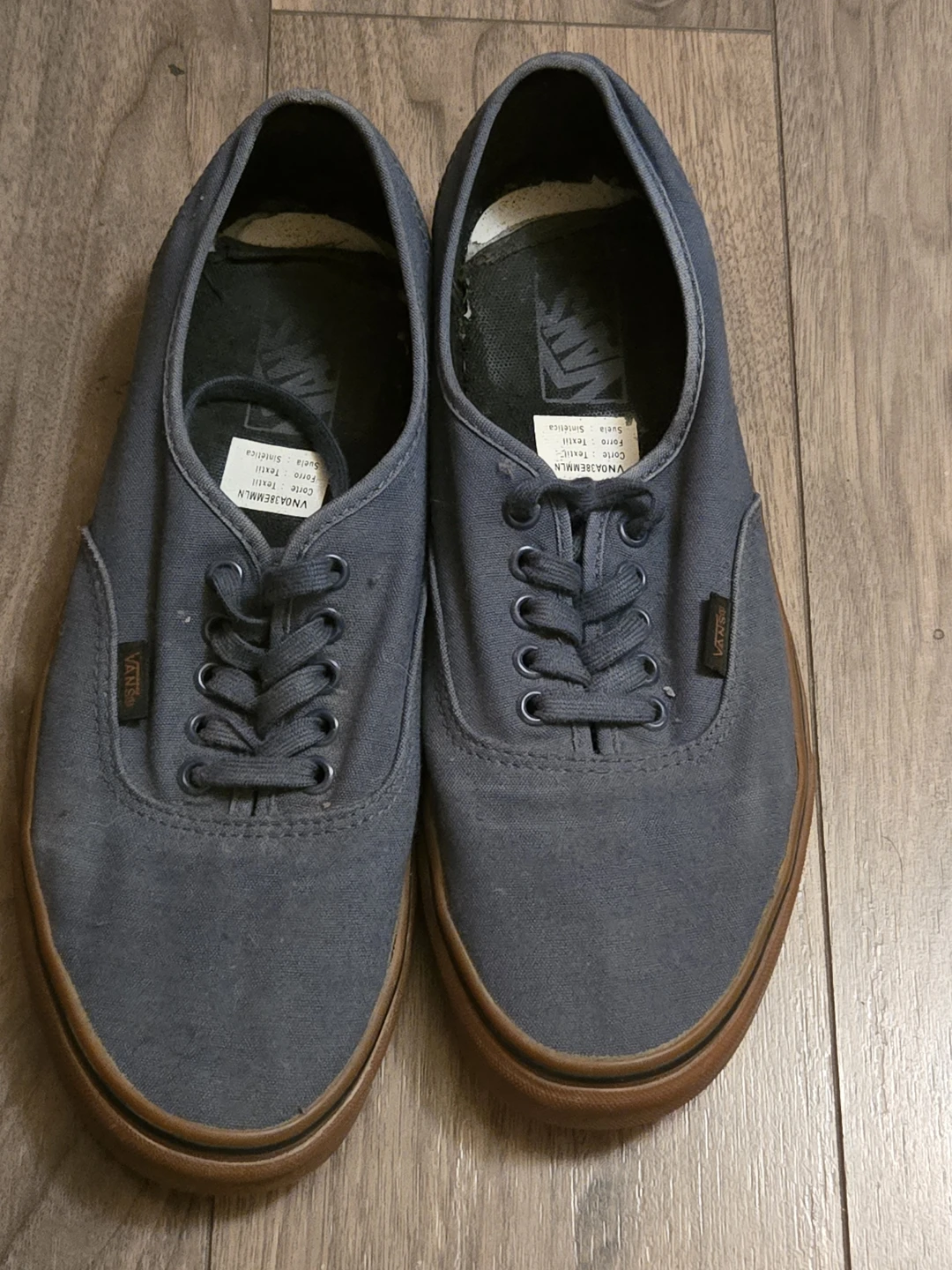 Vans Blue Canvas Sneakers