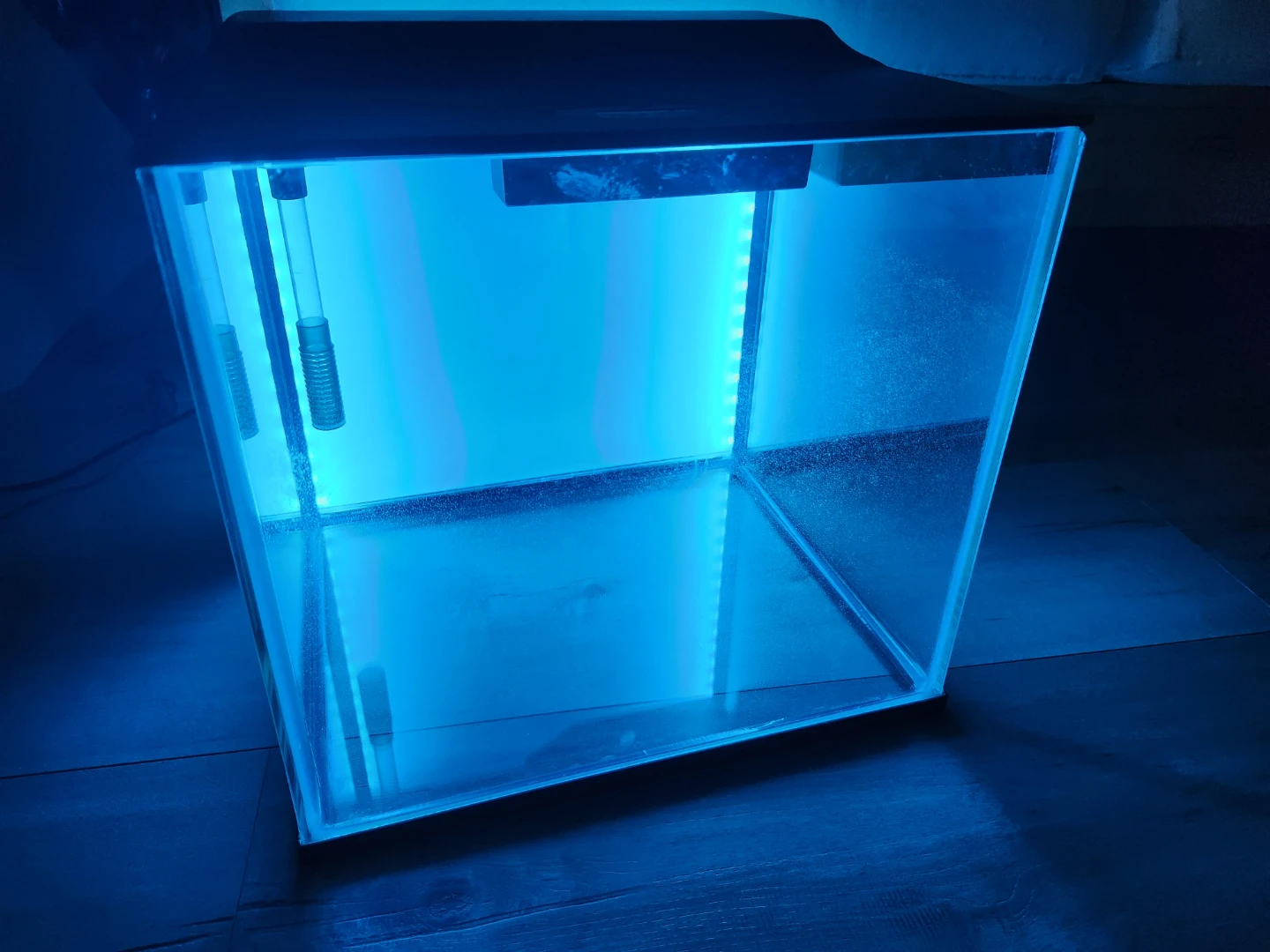 Aquarium - photo 4