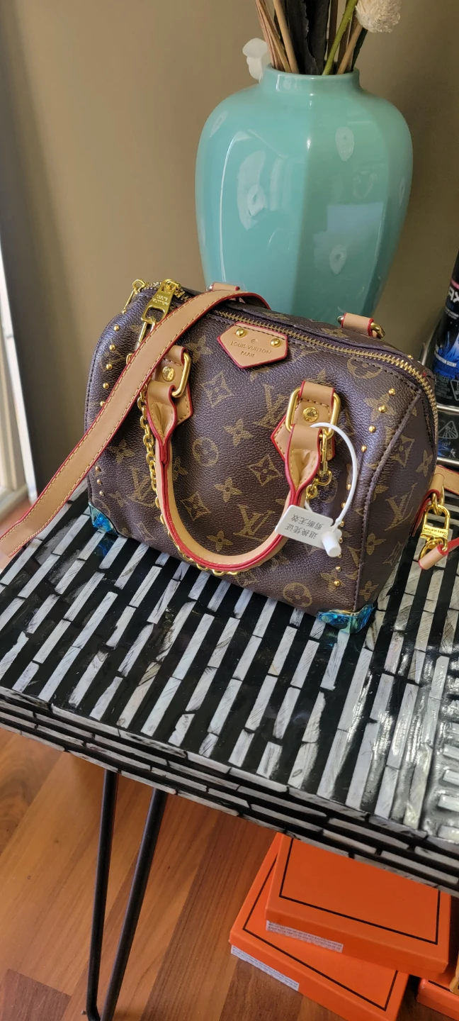 Louis Vuitton Speedy Bandoulière Bag