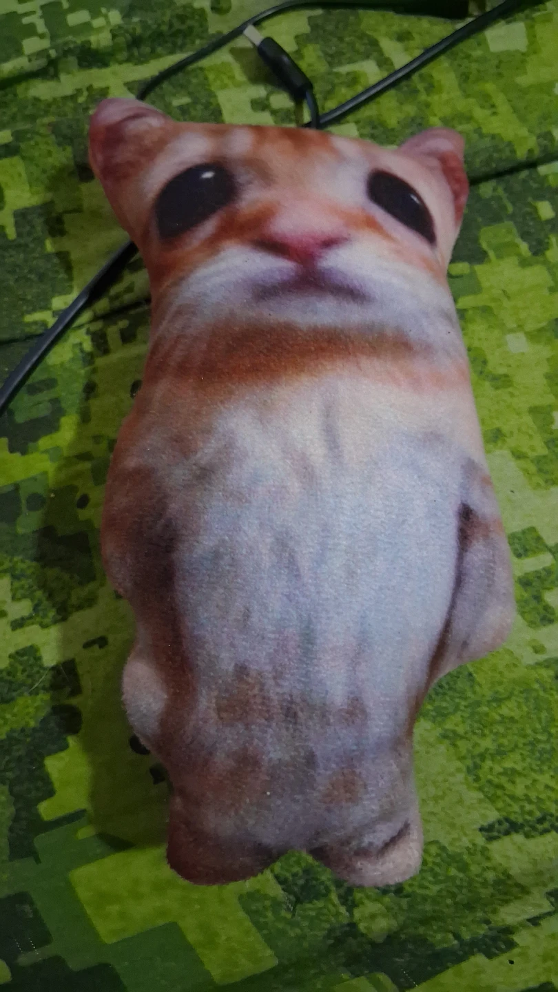 Plush Cat Pillow