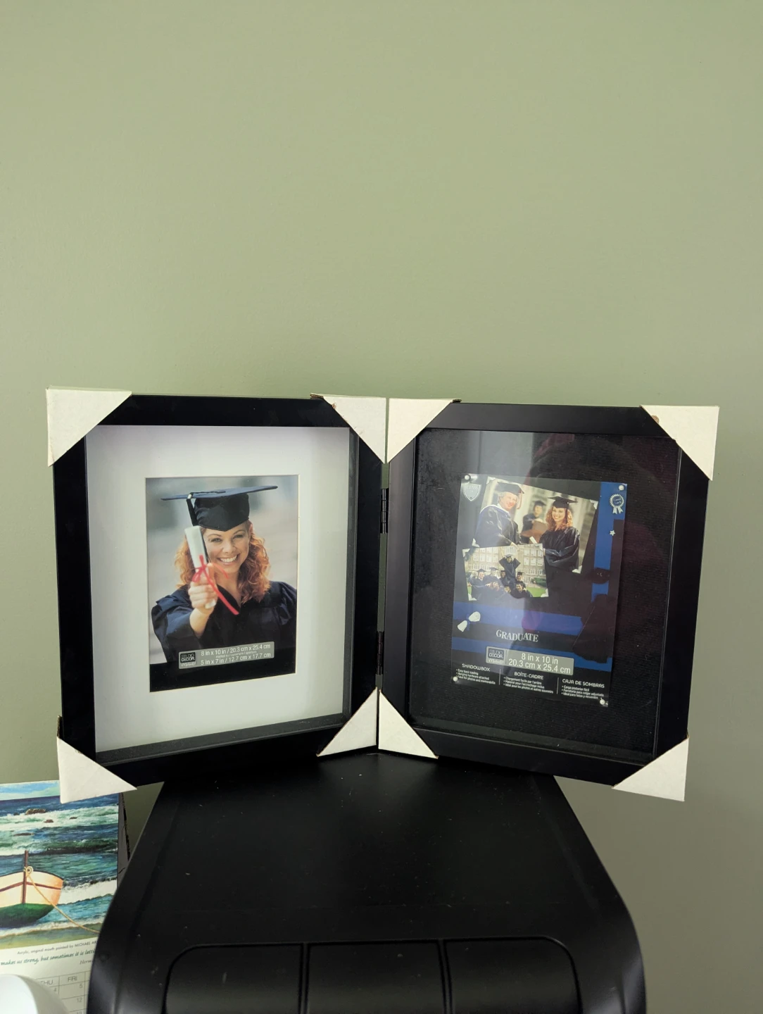 Picture frame and Shadow box combination