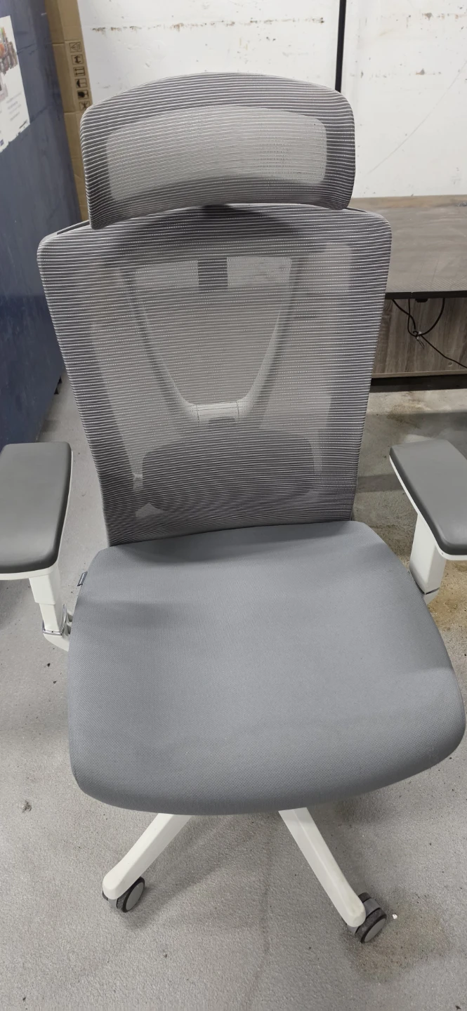 Ergonomic Mesh Office Chair