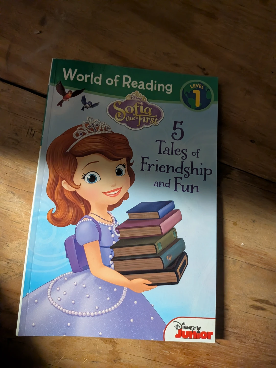 Disney Junior Sofia the First 5 Tales of Friendship and Fun Book