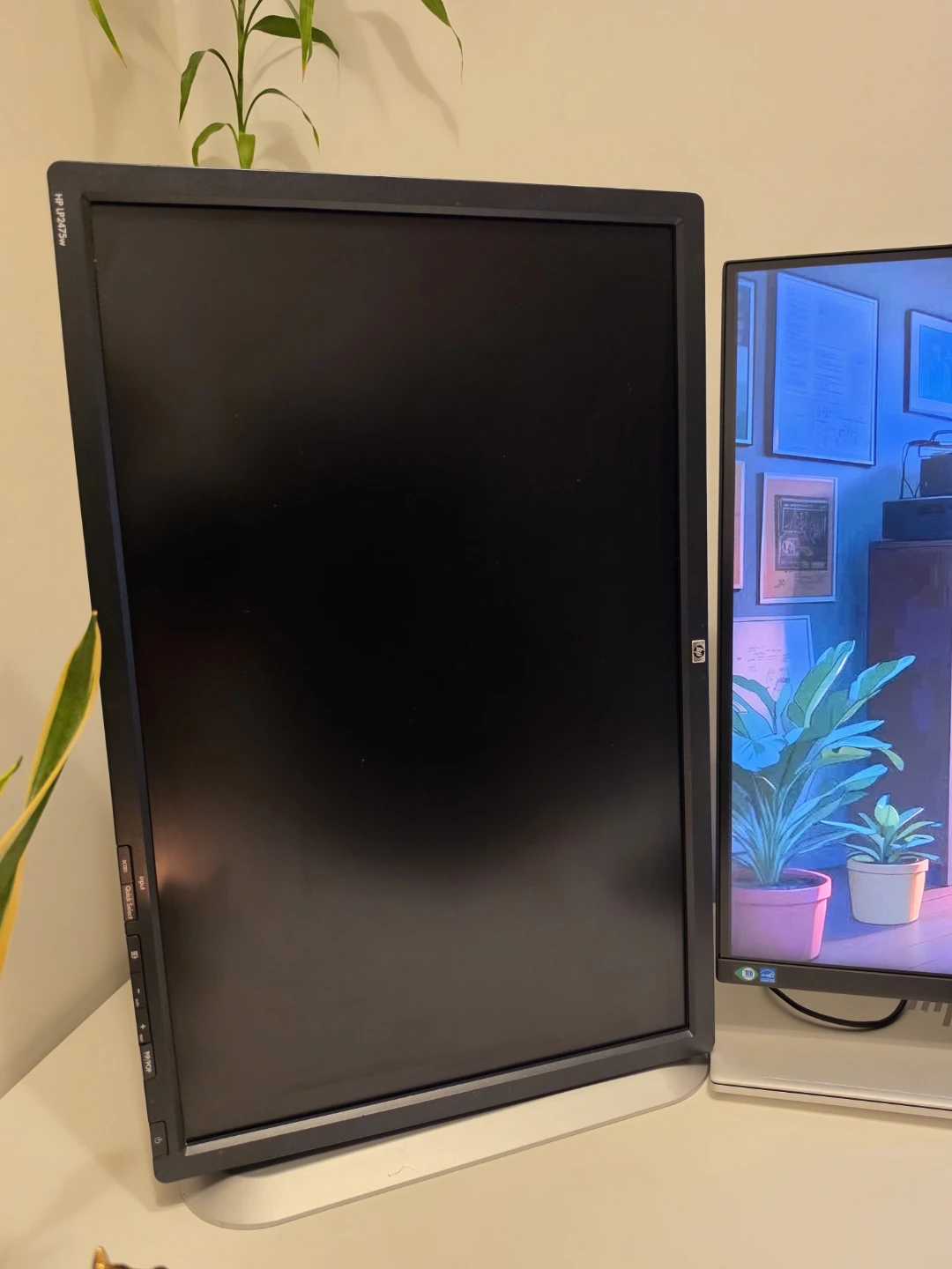 HP 24-inch Monitor