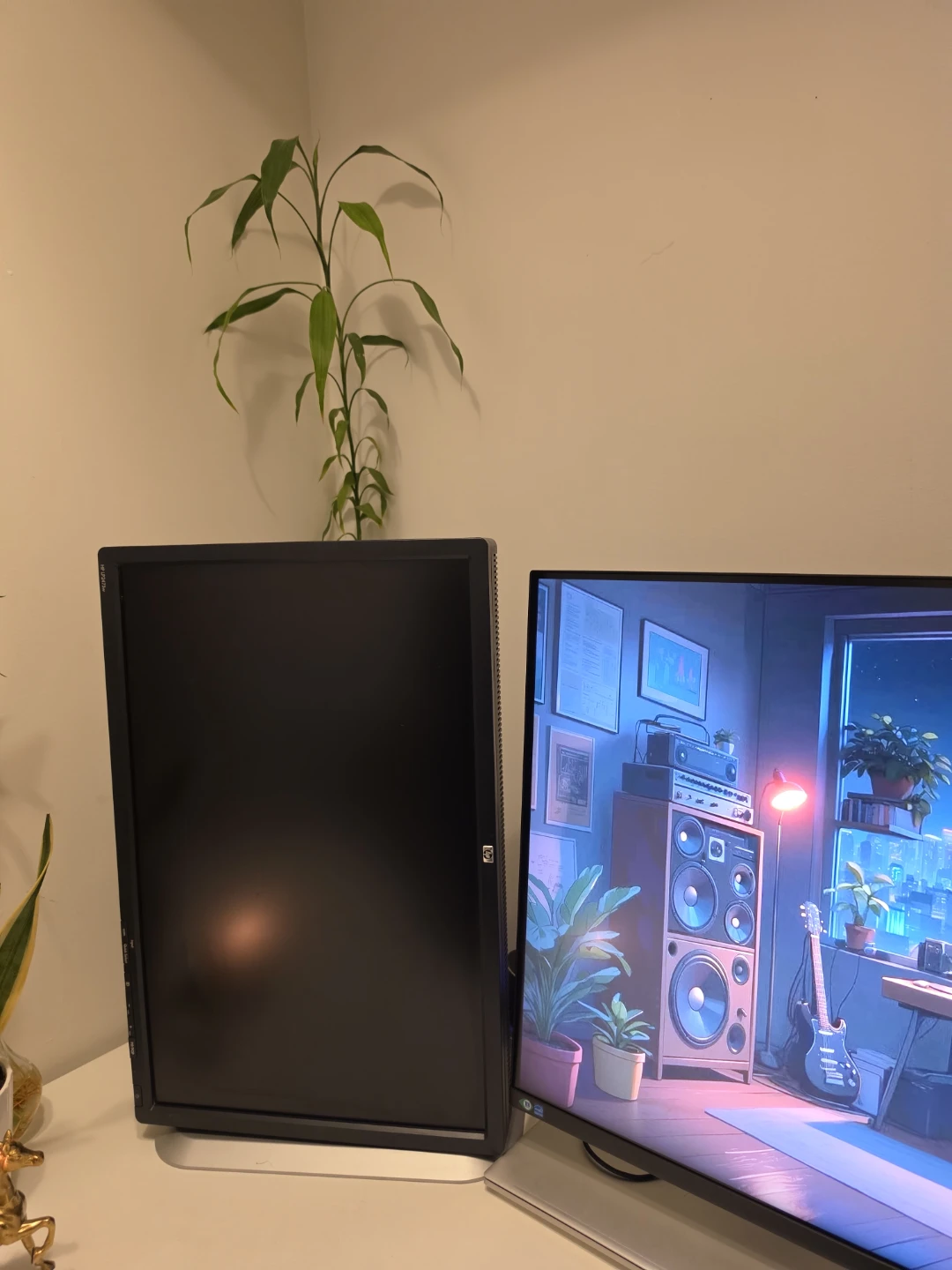HP 24-inch Monitor - photo 2
