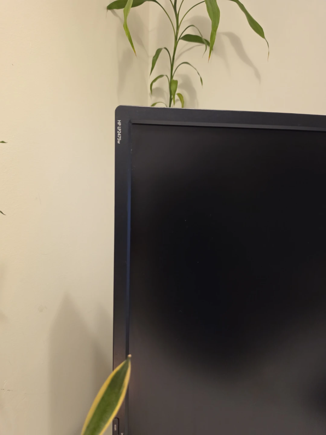 HP 24-inch Monitor - photo 3