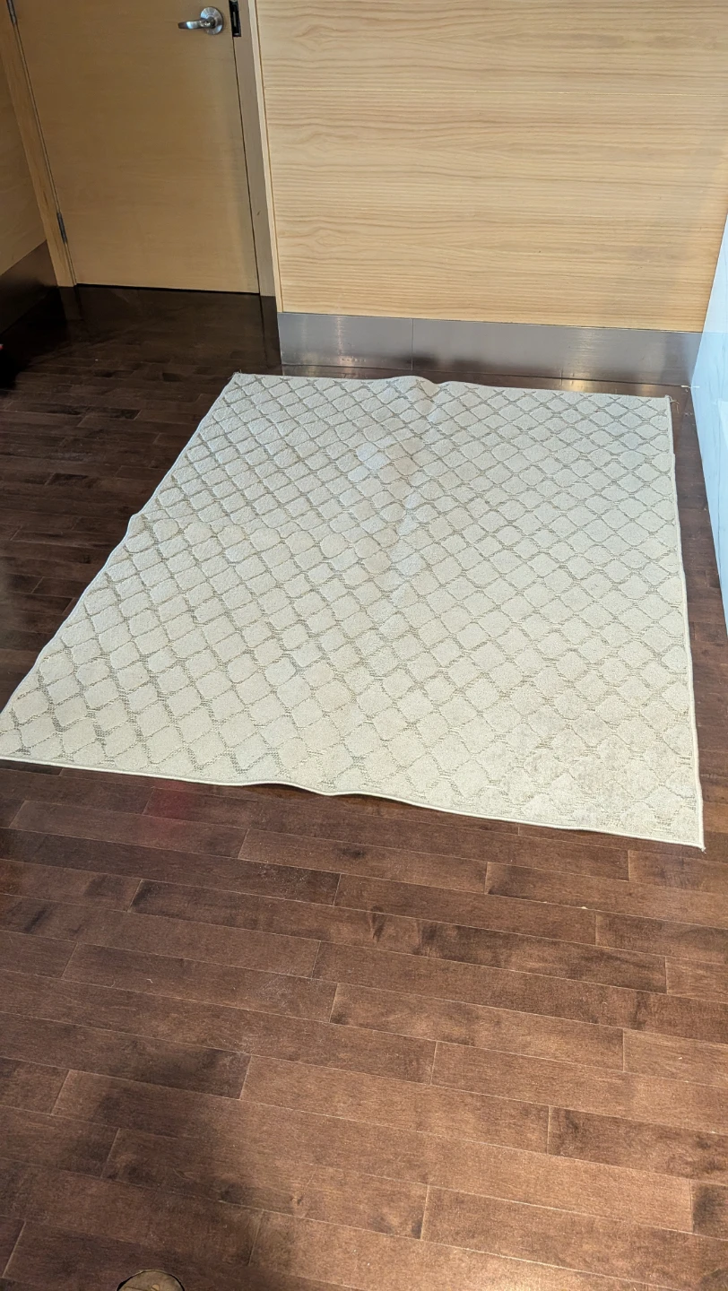 Area Rug 5x7