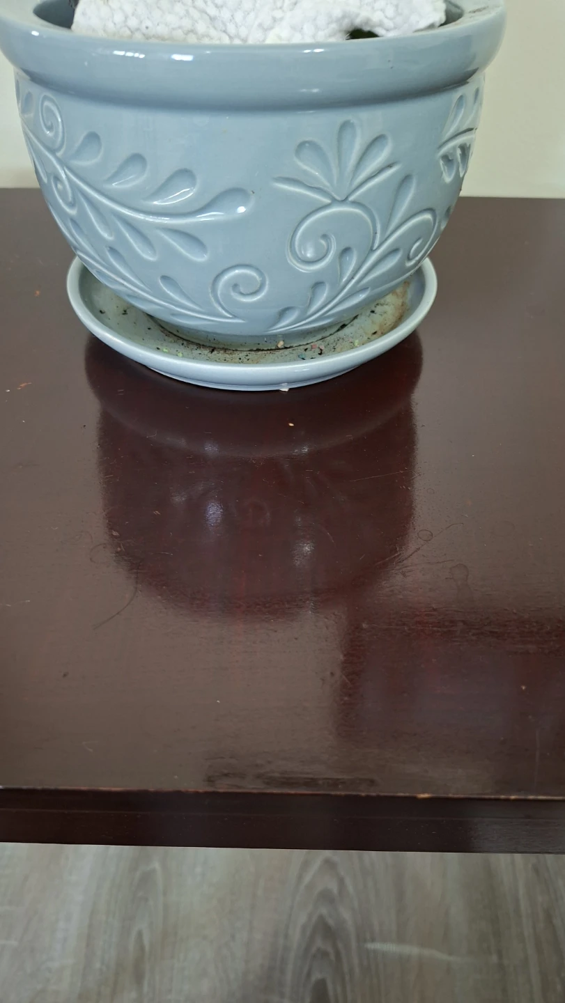 Light Blue Embossed Planter with Saucer