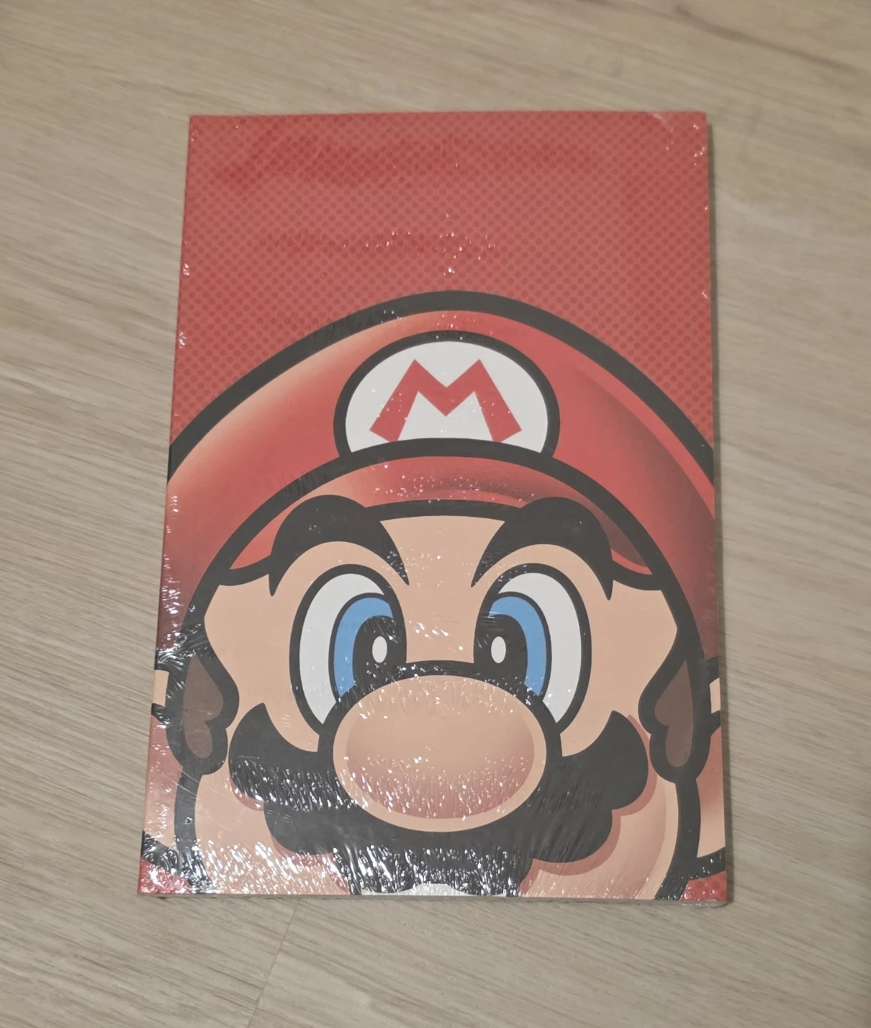 Nintendo Mario & Luigi Notebook