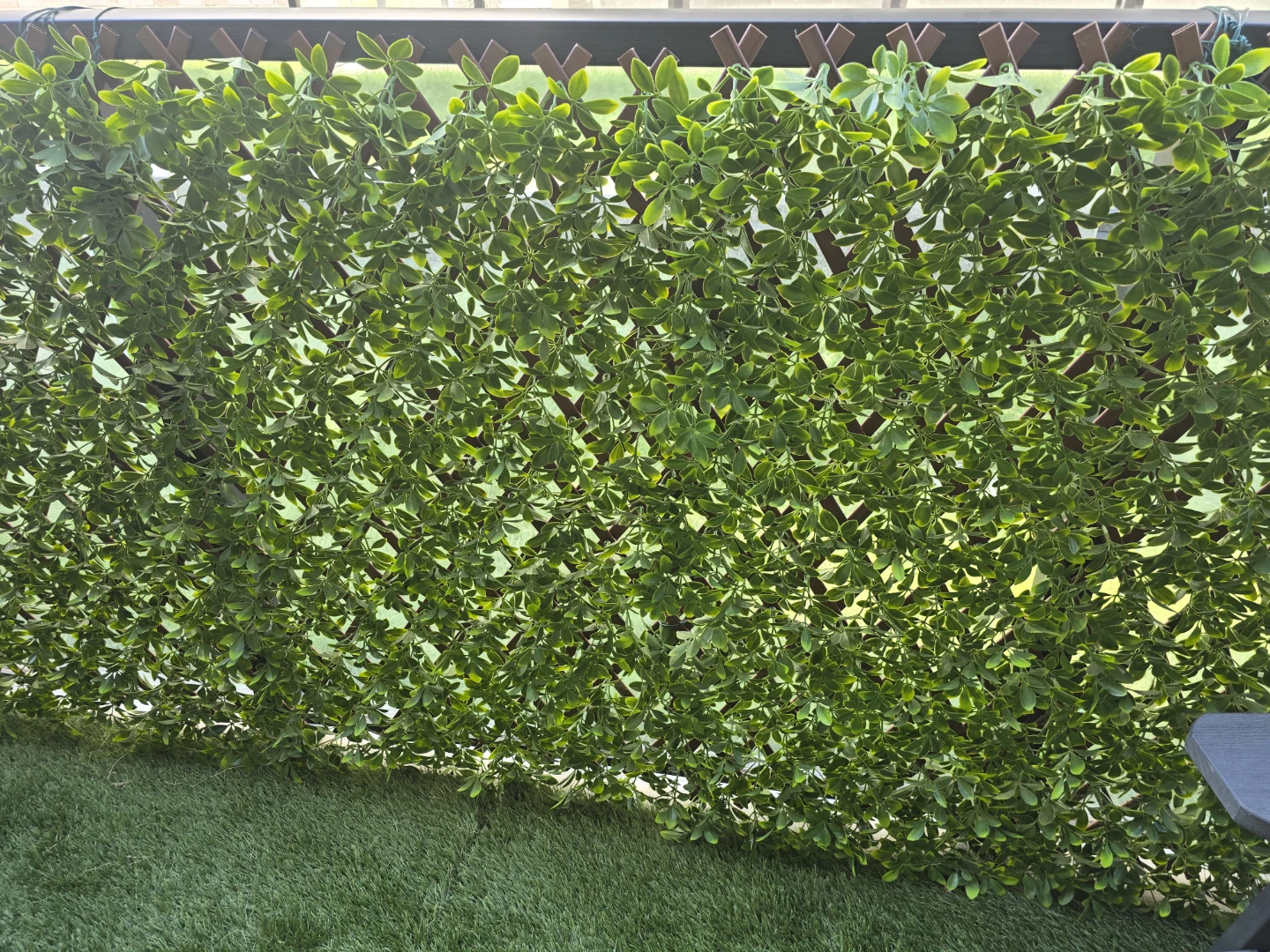 NEW PVC LATTICE 36x72 PRIVACY BOXWOOD TRELLIS IN PVC