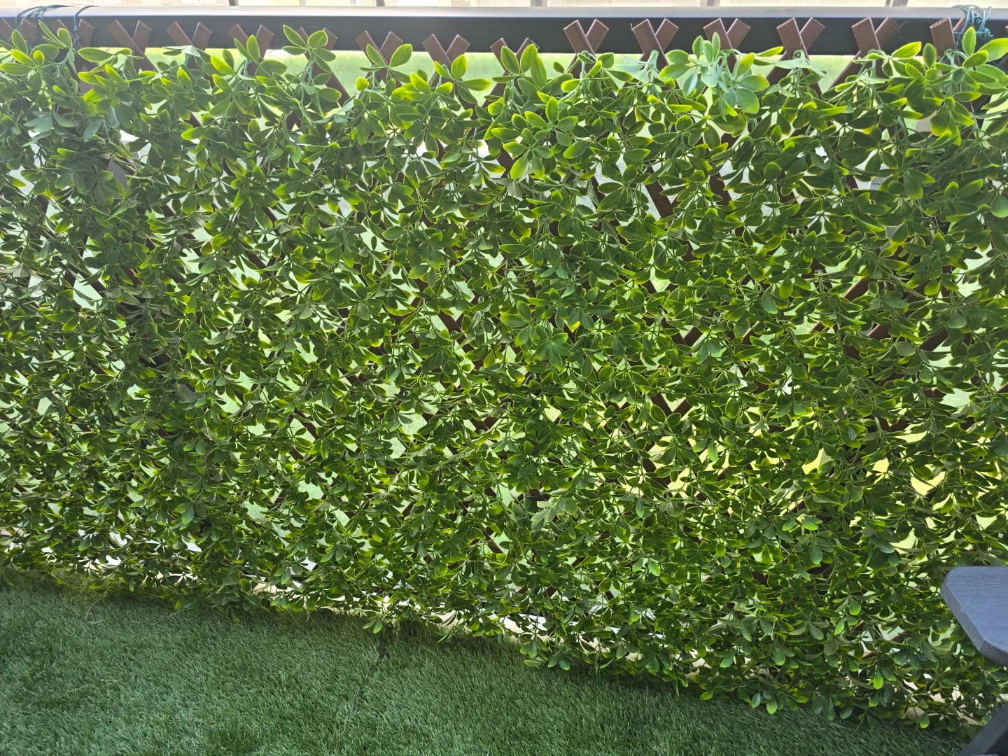 NEW PVC LATTICE 36x72 PRIVACY BOXWOOD TRELLIS IN PVC