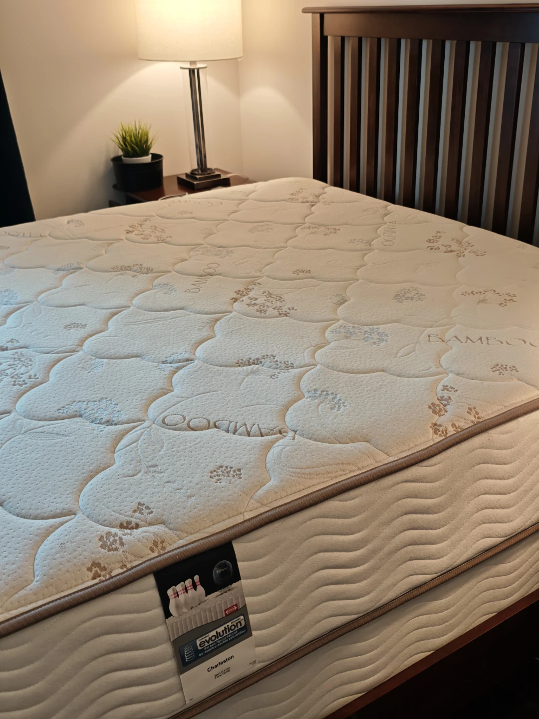 Beautyrest Evolution Charleston Queen Mattress - photo 2