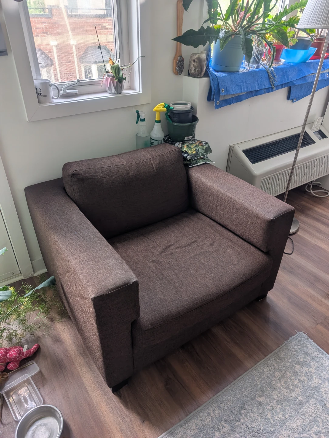 Free lounge chair, super comfy