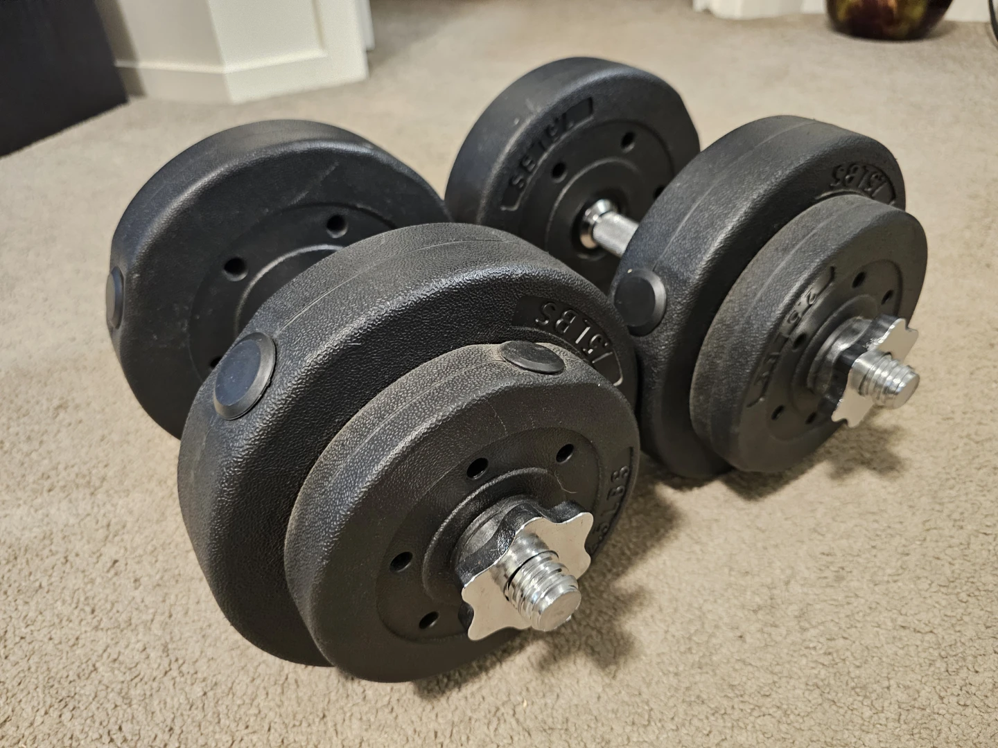 20 lb adjustable dumbells