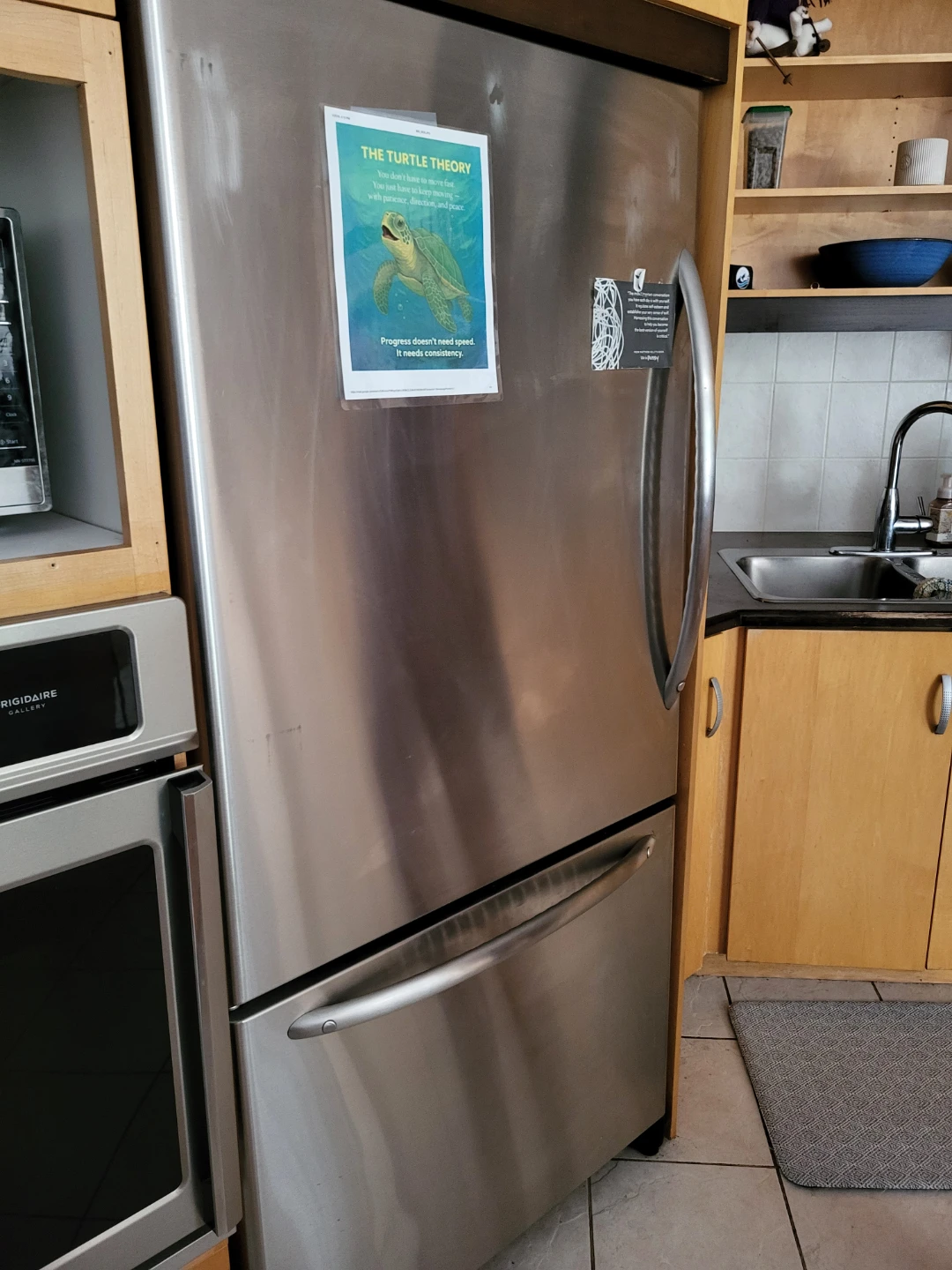 Amana Stainless Steel Refrigerator