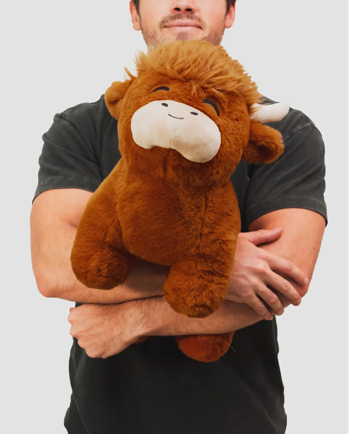 Jul21 Big Highland Cow Plushie New - photo 2