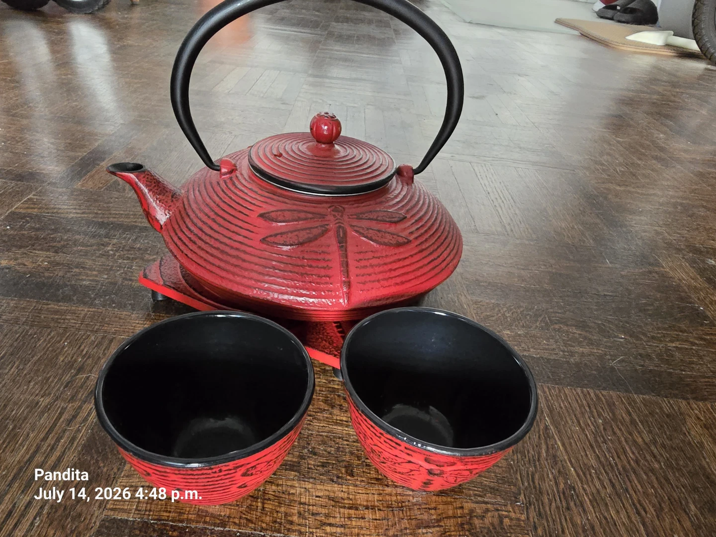 Red Cast Iron Teapot Set with Dragonfly Design