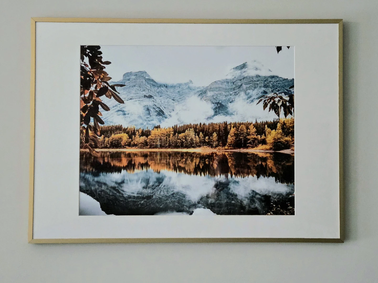 Alberta Fine Art Photograph "Autumns Gold" 27 1/2" x 19 3/4"