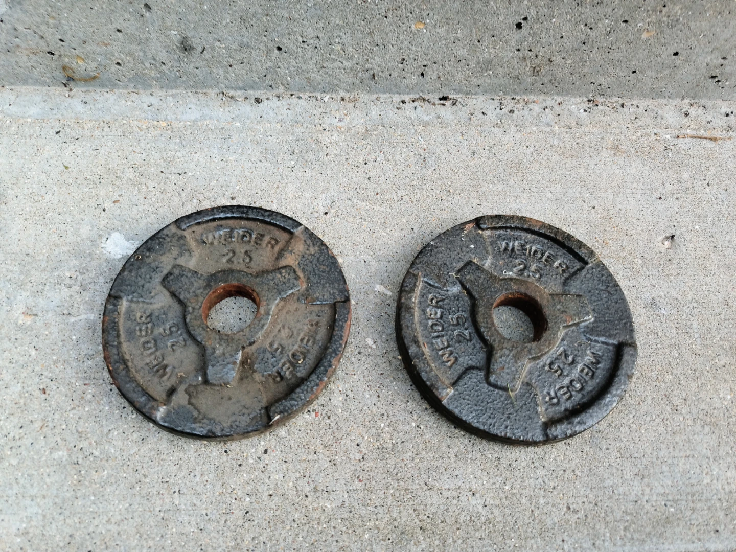 Weider 2.5 lb Weight Plates (Pair)
