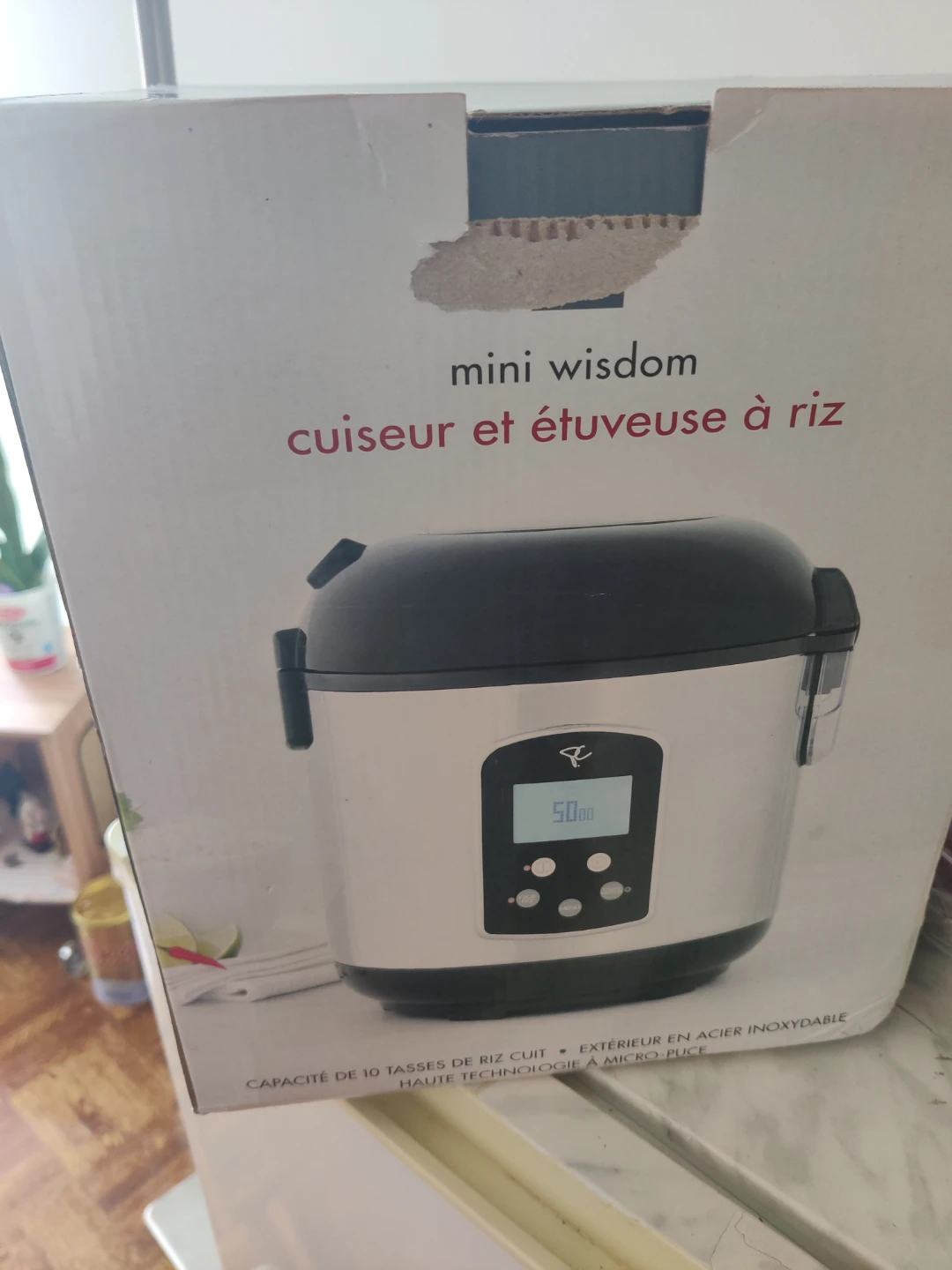 Mini Wisdom Rice Cooker & Steamer