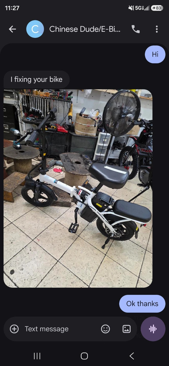 White Folding Electric Bike - photo 4