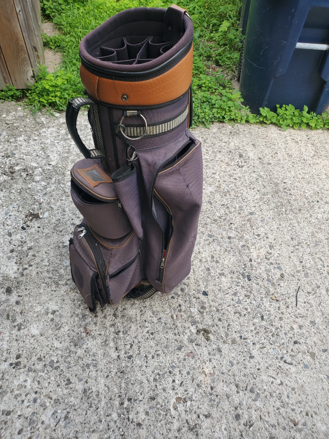 Golf Bag - Brown and Grey - photo 3