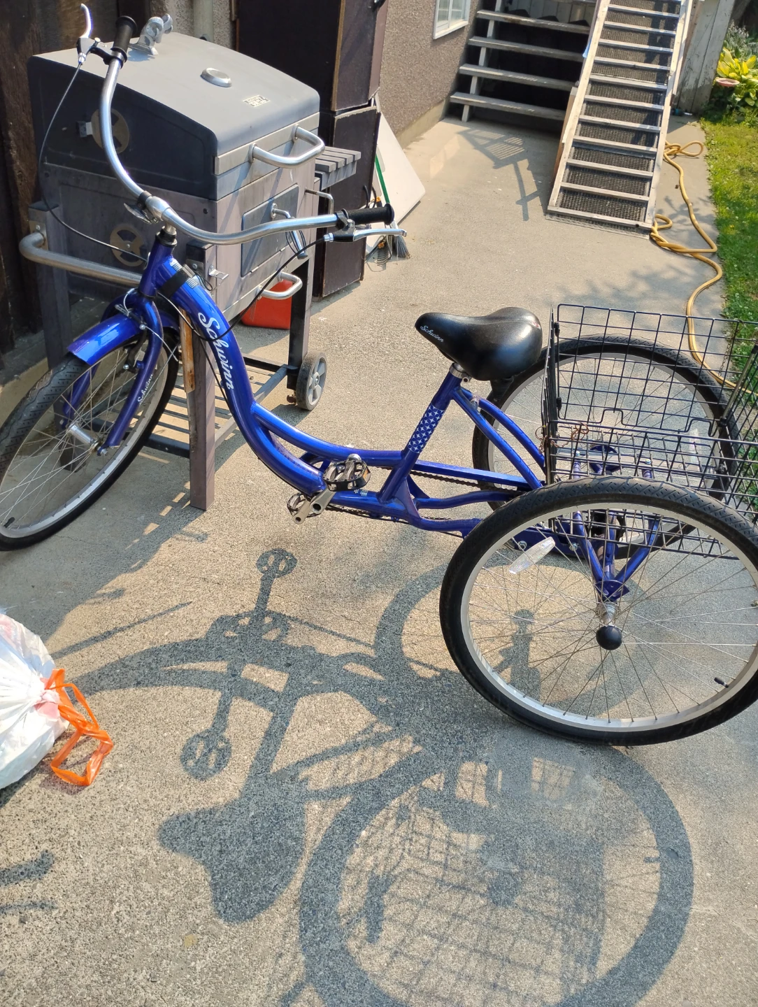 Adult Schwinn trike for sale 250