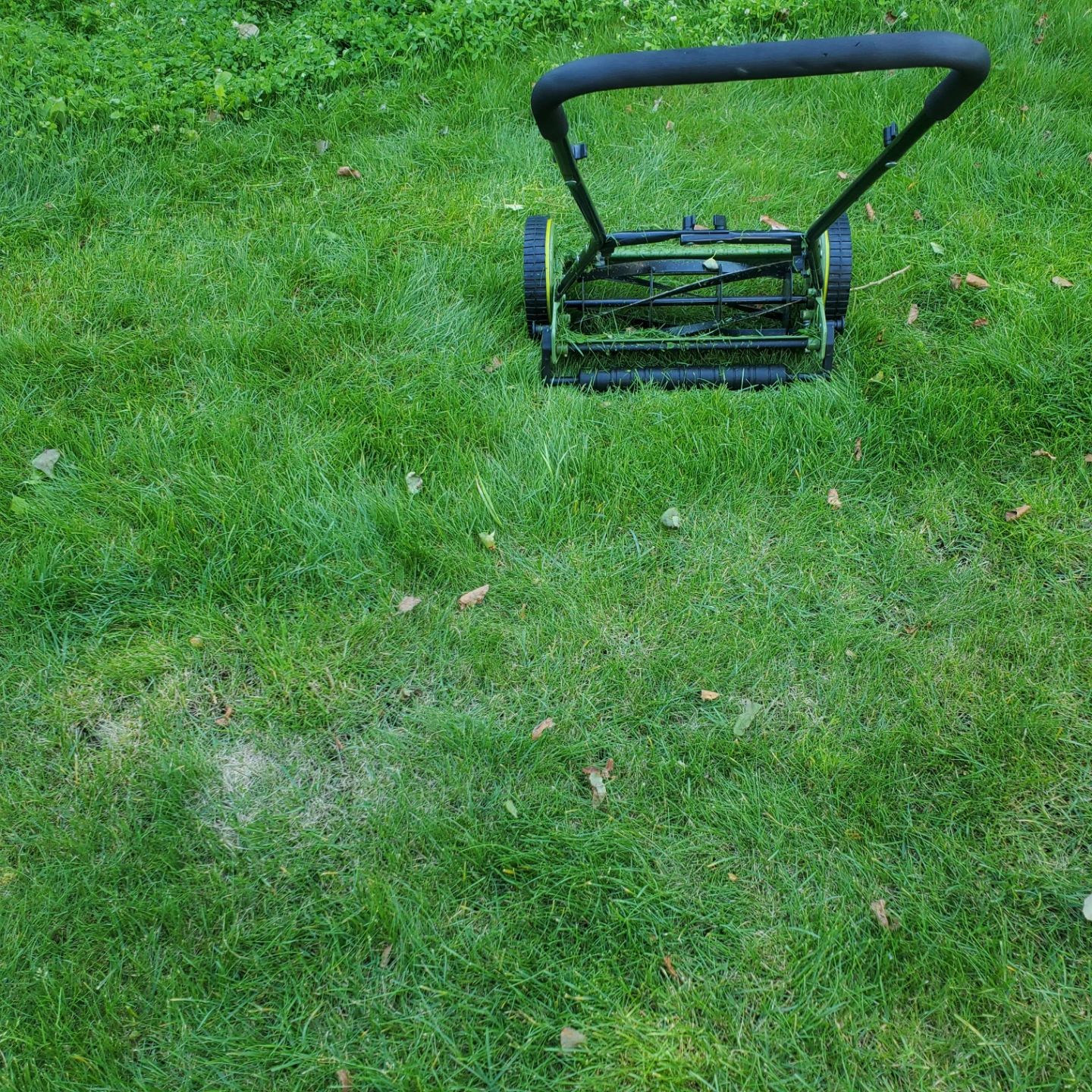 Sun Joe Push Reel Lawn Mower - photo 5