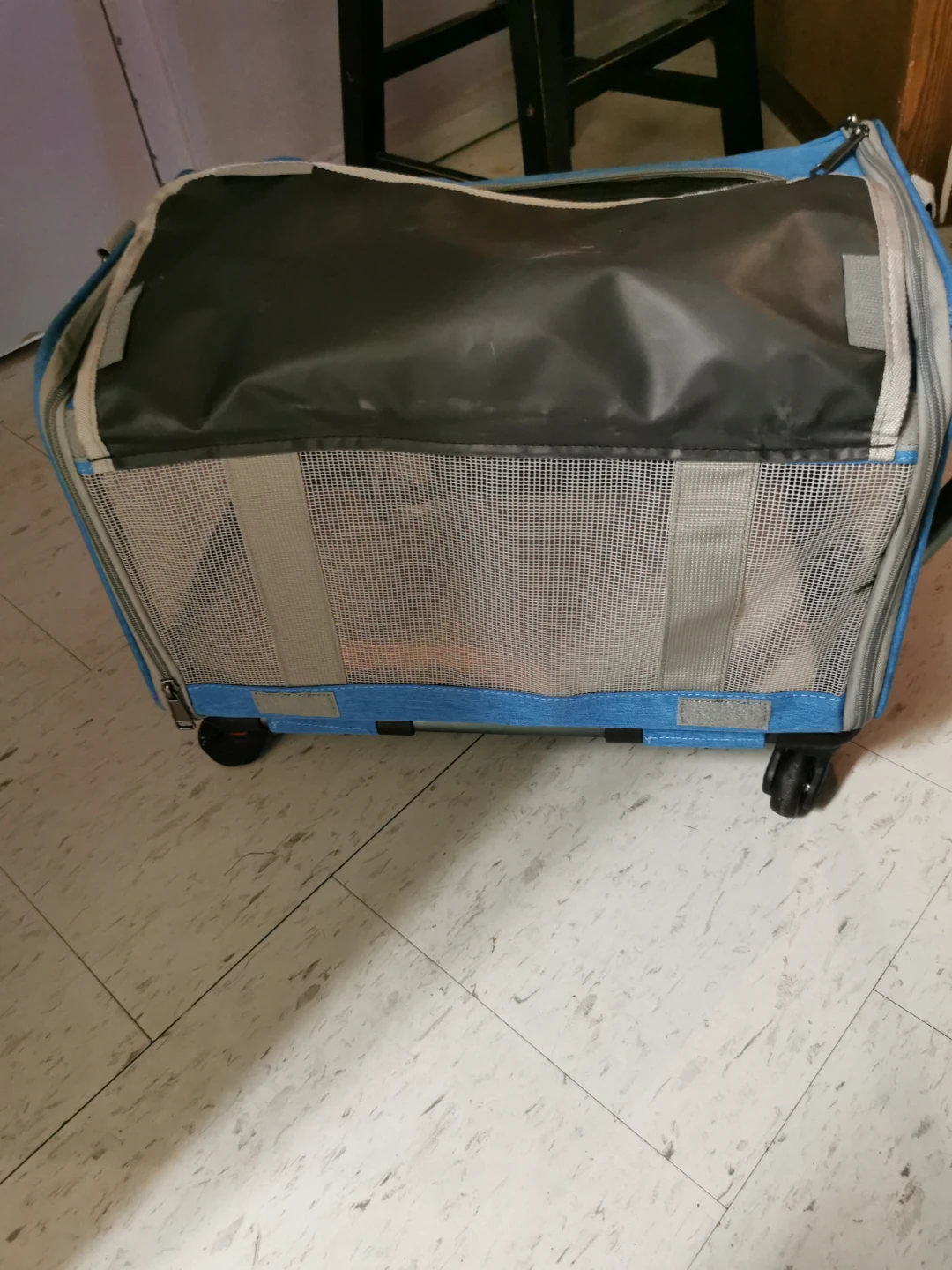 Blue Pet Carrier Rolling Bag - photo 2