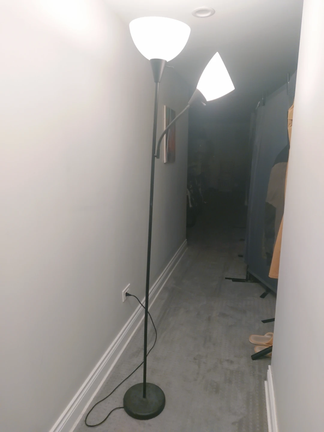 Dual Head Floor Lamp