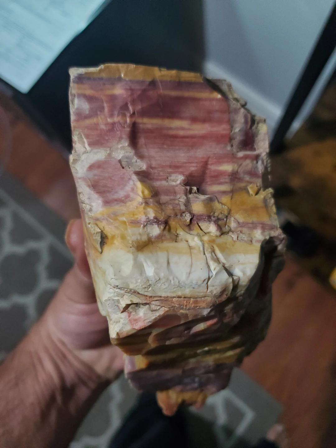 3.5 lbs Petrified Wood Rock Specimen - photo 3